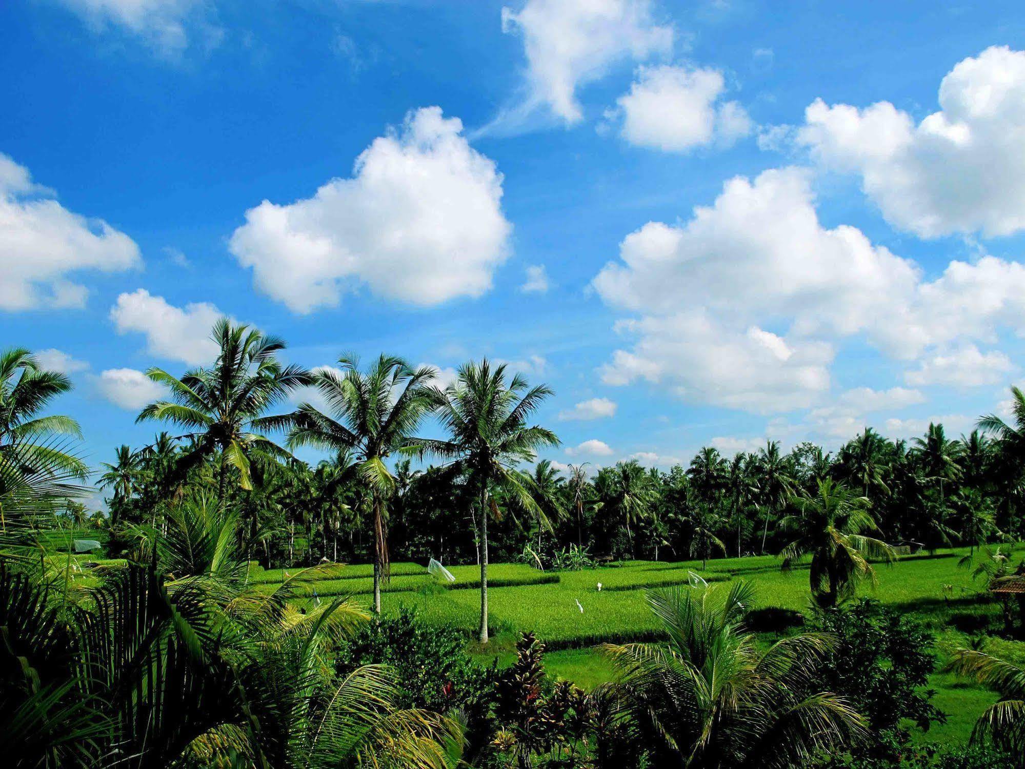 Puri Suksma Ubud Ngoại thất bức ảnh